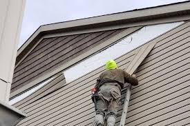 Professional Siding in Medina, MN